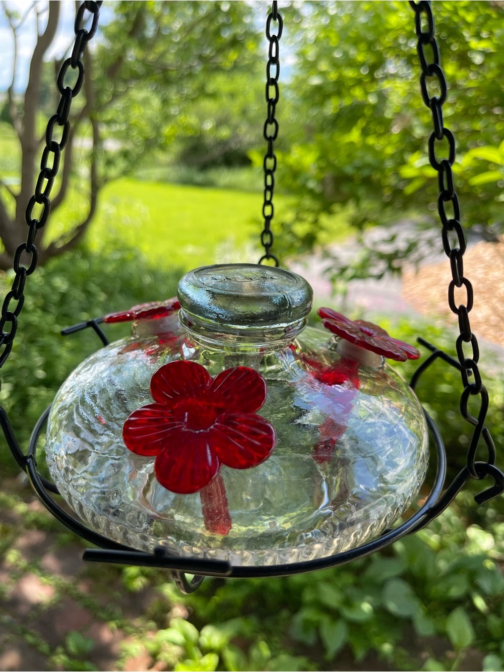 Handmade glass hummingbird feeder